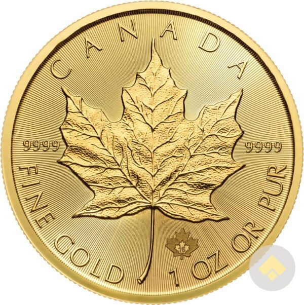 Canadian Gold Maple Leaf Common Date