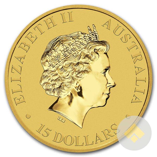 1/10 oz Australian Gold Kangaroo Coin Obverse