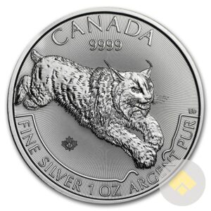 2017 Canadian Silver Lynx