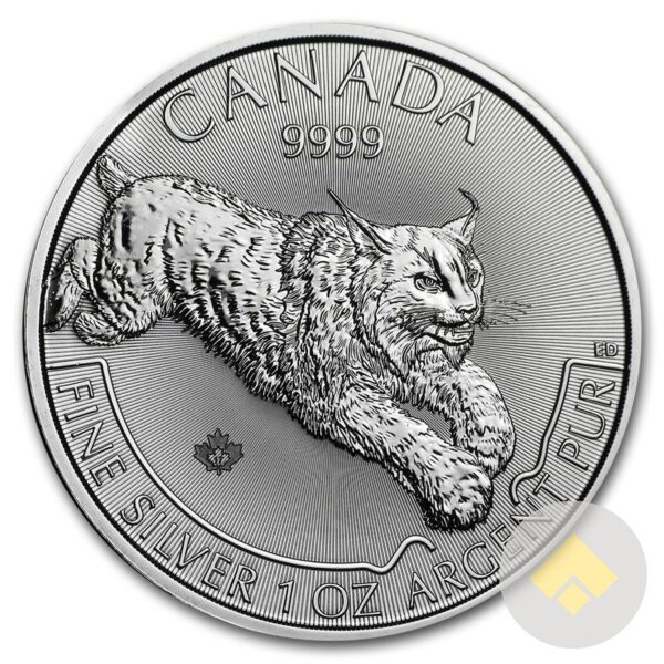 2017 Canadian Silver Lynx