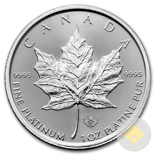 Canadian 1 oz Platinum Maple Leaf